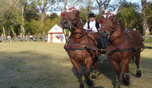 La fête du cheval en images La fête du cheval en images