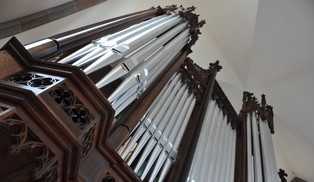 A la découverte de la Cathédrale du Ried A la découverte de la Cathédrale du Ried