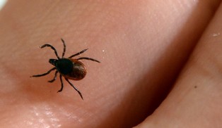 Conférence sur la maladie de Lyme Conférence sur la maladie de Lyme
