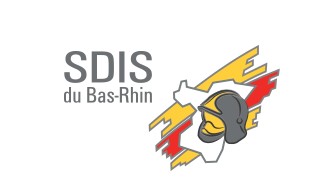 Les pompiers factureront les interventions sur les nids de guêpes Les pompiers factureront les interventions sur les nids de guêpes