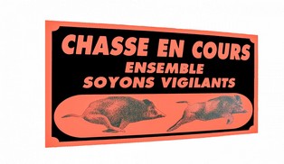 Nouvelle battue de sangliers Nouvelle battue de sangliers