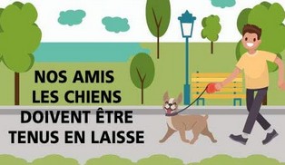 Un arrêté municipal Un arrêté municipal