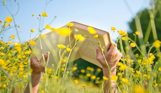 L'été à la bibliothèque L'été à la bibliothèque