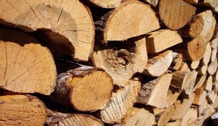 Vente de bois de chauffage Vente de bois de chauffage