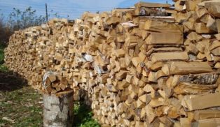 VENTE DE BOIS 