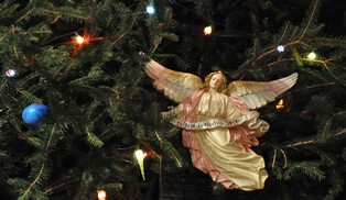 Visite de la crèche de l'église