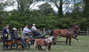 Fête du cheval 2019 Fête du cheval 2019